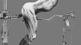 Someone's skin Art of Zamok